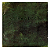 Korn - Take A Look In The Mirror (skapbook) (Usado) - Imagem 1