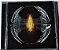 Pearl Jam - Dark Matter (Usado) - Imagem 2