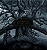 Mastodon - Hushed And Grim (Usado) - Imagem 1