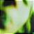 Smashing Pumpkins - Pisces Iscariot (Usado) - Imagem 1