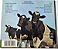 Pink Floyd - Atom Heart Mother (Usado) - Imagem 3