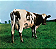 Pink Floyd - Atom Heart Mother (Usado) - Imagem 1