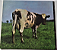 Pink Floyd - Atom Heart Mother (Usado) - Imagem 2