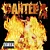 Pantera - Reinventing The Steel (Usado) - Imagem 1