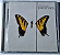 Paramore - Brand New Eyes - Imagem 2