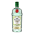 GIN TANQUERAY RANGPUR 700ML - Imagem 1