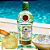 GIN TANQUERAY RANGPUR 700ML - Imagem 4