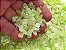Micro Conchinhas para Laços - Verde Translúcido - Pacote com 10 gramas - Imagem 1