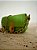 Mini Bolsa IB Courino Verde Pistache - Imagem 8