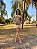 Blusa Lenço Estampada Encanto Boho Farm - Imagem 5