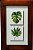 Quadro decor madeira - Folhas - Imagem 1