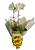 Vaso de Orquídea - Imagem 2