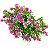 PICK FLORZINHA CD-0074 - Imagem 1