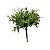 MAÇO PICK MINI FICUS LY0091F - Imagem 1