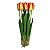 Arranjo de Tulipa Grande x11 FF-0004LR - Imagem 1