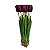 Arranjo de Tulipa Grande x11 FF-0004RX - Imagem 1