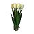 Arranjo de Tulipa Grande x11 FF-0004BR - Imagem 1