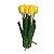 Arranjo de Tulipa Pequeno x7 FF-0007AM - Imagem 1