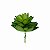 Planta Suculenta DI0121 - Imagem 2