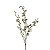 GALHO DE MINI ORQUIDEA BG-0014BR - Imagem 1