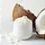 LEITE DE COCO EM PÓ 100% VEGANO - Imagem 3