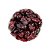 Cranberry - Imagem 1