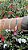 Bracelete Meia Cana 6mm - Imagem 4