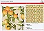 Tecido Tricoline Laranjas e Flores Fundo Bege - Coleção Harmonia - Peripan - 50 x 150 cm - Imagem 2