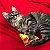 PIZZA - Brinquedo c/ catnip para gatos - Imagem 3