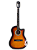 VIOLAO ELÉTRICO - MXT 39A SBCE - Imagem 1