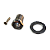 TARRAXA VIOLÃO BLINDADA AVULSA - D A E - Imagem 2