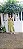 1360 VESTIDO LESE LUXO - Imagem 2
