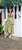 1360 VESTIDO LESE LUXO - Imagem 4
