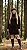 Mini Vest 0200 - Imagem 3