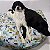 Puff Cama Caminha Para Cachorros, Gato, Unicórnio Tam M - Imagem 1