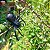 Aranha Grande Realista Borracha Pegadinha Decoração Susto - Imagem 2