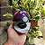 Pokeball Porta Alianças - Imagem 3