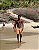 Boardshort Sunset - Imagem 8