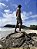 Boardshort Floresta - Imagem 4