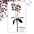 Arranjo Flor Orquidea artificial enfeite decoração - Imagem 4