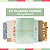 Kit Planner Padrão Mint Grid Floral - Imagem 1