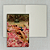 Kit Triplo Grande Planner e Journal Midori Vermelho - Imagem 4