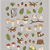 Adesivo Decorativo De Papel Little Forest Suatelier - Imagem 2