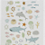 Adesivo Decorativo De Papel Aqua Aqua Suatelier - Imagem 2