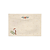 Kit Com 4 Papéis de Carta + 4 Envelopes Passarinhos - Cartões Gigantes - Imagem 3