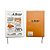 Caderno Brochura A5 Pautado Journal Bear - Imagem 6