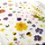 Adesivo Divertido para Decorar Unhas e Uso Geral Nail Deco - Deco Flower - Imagem 8