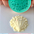 Molde de Silicone Concha Realista - Imagem 3
