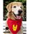 Bandana para cães Homem de Ferro - Imagem 1