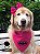 Kit Bandana e Laço Batman Pink - Imagem 2